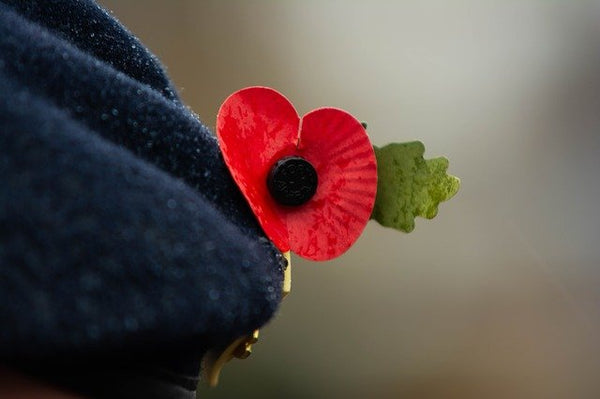 Do You Know the Origin of Remembrance Day?